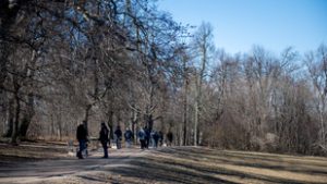 Igazi síverseny lesz szombaton a Normafán