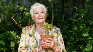 Van, hogy naponta többször lelotyózzák a 89 éves Judi Dench-et