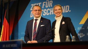 Az AfD egy Kína-szakértőt jelölt kancellárnak a németországi előrehozott választásokra