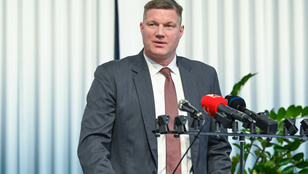 Tízmillió forintos büntetést kapott a Magyar Vízilabda Szövetség