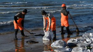 Először találtak elpusztult delfineket a Fekete-tengeren a tartályhajók balesete után