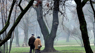 Aggódnak a tudósok, sosem volt még olyan meleg a január, mint most