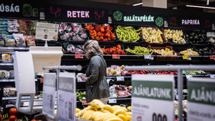 Demagóg követelésnek tűnik, hogy árrésstop helyett az élelmiszerek áfáját kellene csökkenteni