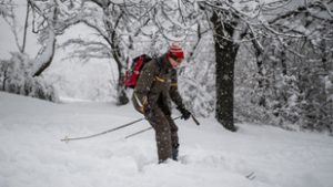 Döntött a bíróság: nem lehet sífutó-és szánkópályát működtetni a Normafán