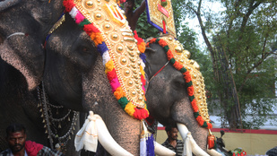 Robotelefántok jönnek a hindu templomokba