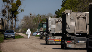 Sírt az apa, sírtak a fiai, sírtak a munkatársak – így élték meg 3000 szarvasmarha leölését Nyugat-Magyarországon