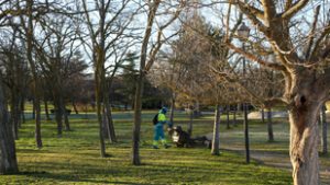 Öt év helyett a kormány határozhatja meg, meddig lehet valaki közmunkás