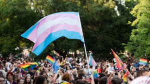 Emberi jogi szervezetek támadják meg a Kúrián a Pride betiltását