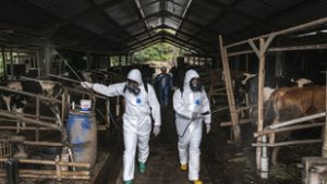 Változtattak a ragadós száj-és körömfájással kapcsolatos szabályokon