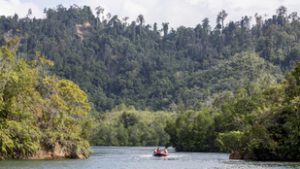 Így fedezett fel egy új fajt egy tudós Pápua Új-Guineán