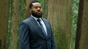 Vízbe fulladt Costa Ricában a népszerű sorozatsztár, Malcolm-Jamal Warner