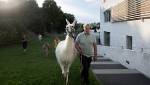 Lámákkal zavarták meg a törökbálinti önkormányzat zárt ülését