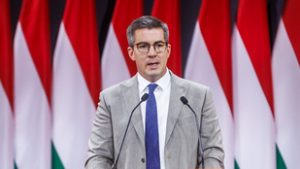 Már megint ezek a zebrák