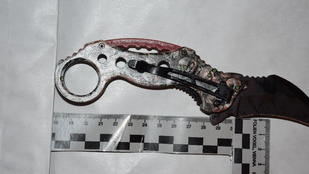 Vérfürdőt rendezett egy 13 éves gyerek Gönyűn, édesanyját és nagymamáját is megkéselte