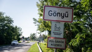 Netes kihívás miatt késelhette meg anyját és nagymamáját a 13 éves gönyűi fiú