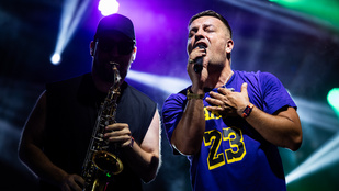 Hova tűntek a retró előadók a Szigetről?