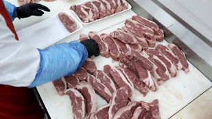 Csirkehús vs. marhahús – megdőlt egy mítosz, kiderült, melyiket érdemes fogyasztani