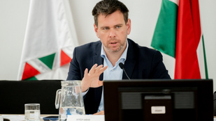 Megszólalt Vitézy Dávid a busztüzek után, a kormányt és a főváros vezetését sem hagyta ki