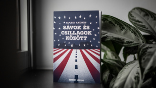 Felült egy New York-i gépre, és öt dollárból bejárta Amerikát
