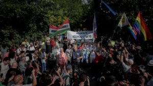 Indul a második Hatvanpuszta Szafari, Puzsér Róbert is csatlakozik idegenvezetőként
