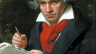 Megvizsgálták Beethoven hajszálait, mindent borított az eredmény arról, amit eddig hittek
