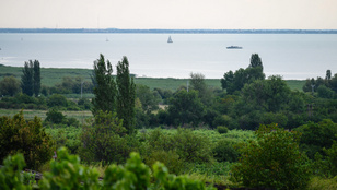 Dúl a vita a Balatonnál, a tét a teljes mértékben bejárható sétány