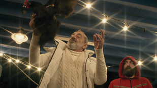 Különdíjat nyert Torontóban Pálfi György új filmje, A tyúk