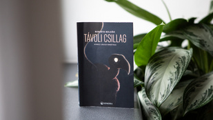 Ez tényleg jobb, mint a 13. havi nyugdíj