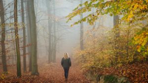 Párás lesz a csütörtök reggel, de délután kellemes, napos időre számíthatunk