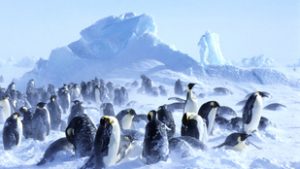 Ősi civilizációt rejt a fagyott kontinens