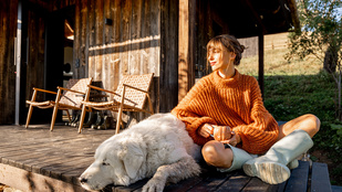 Mit javíthat a kapcsolatainkon egy erdőfürdő és napi 72 perc netmentesség?