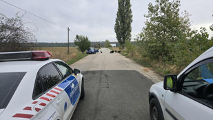 Kutyák támadtak meg egy embert Pécelen, hat kutyát ki kellett lőni