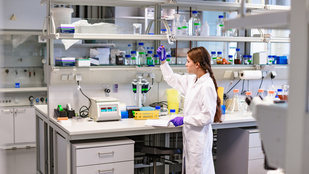 Milliárdok potyognak az égből, eljött az innovatív magyarok ideje