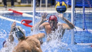 Könnyed győzelemmel nyitott a Ferencváros a Bajnokok Ligájában