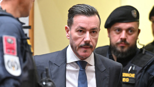 Börtönre ítélték a magyar származású ingatlanmágnást milliárdos anyja miatt