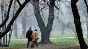 Megdőlt az idei szezonrekord, mínusz 6,6 fokot mértek Fülöpházán hajnalban