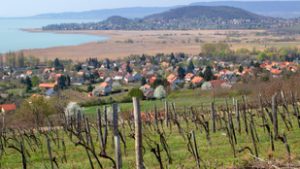 Az új szabályozás után megnőhet a kereslet a zártkerti ingatlanok iránt