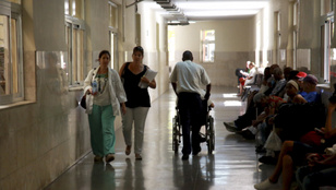 Ezen a szigeten egyszerre tombol három különböző fertőző járvány