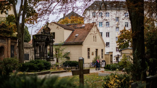Morbid trendre kattantak rá a temetőbe járó németek