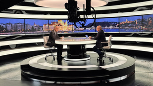 Élő adásban esett egymásnak Navracsics Tibor és Rónai Egon