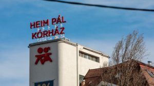 Nyolcvan gyermek került kórházba az angyalföldi ételmérgezés után, a szalmonellafertőzés lehetőségét kizárták