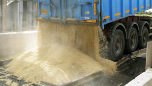 Politico: Brüsszel bíróság elé viheti Magyarországot, Lengyelországot és Szlovákiát