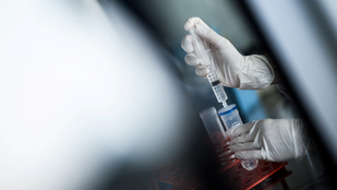 Magyar kutatók áttörést értek el, teljesen meggyógyította a rákot az új gyógyszerük