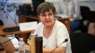V. Naszályi Márta kilépett a Párbeszéd-Zöldek Pártból