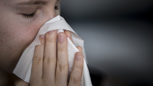 Meglepően korán kezdődött az influenzaszezon, egy új variáns okozhat súlyos járványt