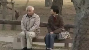 Úgy nevelte fel a gyerekeit a férfi, hogy közben húsz évig nem állt szóba a feleségével