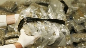 Húsz tonna kannabiszt foglaltak le idén Antwerpen kikötőjében