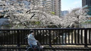 Csak a bomlásnak indult testek tanúskodnak a magányról, amire külön iparág is épült