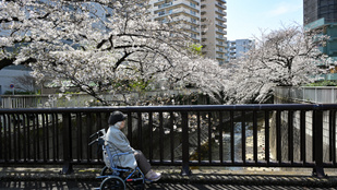 Csak a bomlásnak indult testek tanúskodnak a magányról, amire külön iparág is épült