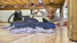 Önnél is gyülekeznek a porcicák? Így veheti fel velük a harcot